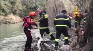 Cane finisce in un dirupo, soccorso e salvato dai vigili del fuoco