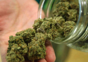 Marijuana pericolosa per il cervello degli adolescenti, scoperta scioccante dopo la risonanza magnetica di 800 giovani