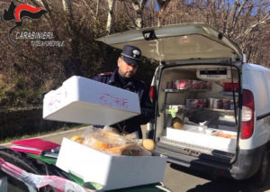 Sequestrati dai carabinieri forestali oltre 15 kg di formaggi privi di tracciabilità