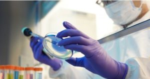 Coronavirus, l’annuncio del laboratorio di Oxford: “A settembre 400 milioni di dosi di vaccino”