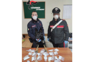 Getta borsone pieno di cocaina sotto gli occhi dei carabinieri, arrestato
