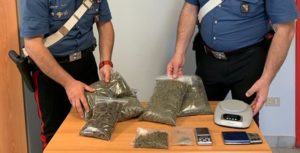 Sorpresi in casa con oltre 800 grammi di marijuana, due arresti