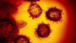 Nuova mega mutazione del coronavirus trovata nell’UE