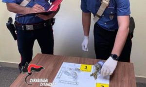 Davoli – Confezionavano marijuana in cucina, coppia arrestata