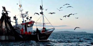Scatta il fermo pesca su Tirreno e Ionio per 30 giorni