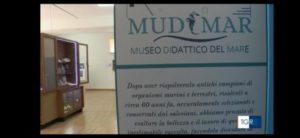 Nasce a Soverato il MUDIMAR, Museo Didattico del Mare. Inaugurazione il 3 Luglio 2020