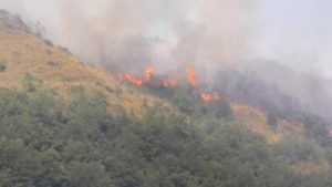 Incendi boschivi, uomini e mezzi di “Calabria Verde” intervengono a Bova (RC) e Mottafollone (CS)