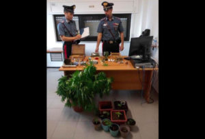 Coltivavano piante di canapa in serra, quattro persone arrestate