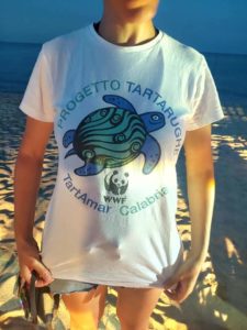 Tartaruga marina nidifica (118 uova!) sulla spiaggia di Soverato