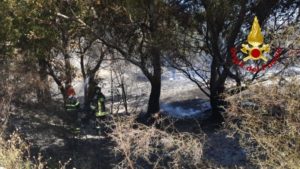 Incendio di macchia mediterranea nel catanzarese, fermato presunto autore del rogo
