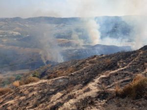 Quasi cento incendi attivi in Calabria, colpite soprattutto le province di Catanzaro e Reggio