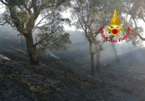 In fiamme arbusti, macchia mediterranea e querceto, disagi per gli abitanti della zona