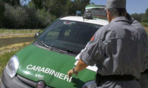 Sequestrati a Serra San Bruno 18mila buste di plastica non conformi