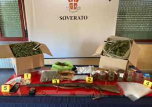 Davoli – 5 kg di marijuana in casa e 24 piante di cannabis in giardino, 27enne arrestato