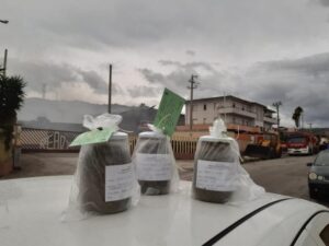 Incendio deposito rifiuti a Squillace: comunicati i risultati delle analisi dei suoli
