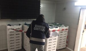Sequestrata in Calabria quasi una tonnellata di “bianchetto”, sanzioni per oltre 50.000 euro