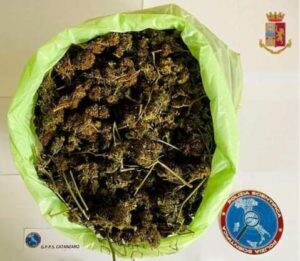 Arrestato a Catanzaro un 44enne trovato in possesso di oltre 700 grammi di marijuana