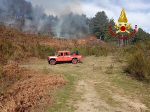Incendi boschivi, vigili del fuoco al lavoro nel catanzarese