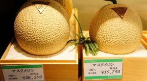 Giappone: due meloni venduti all’asta per oltre 20mila euro!