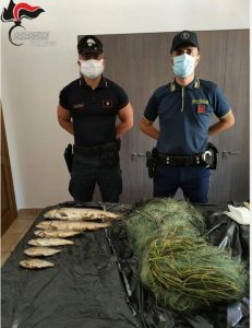 Tre persone denunciate per bracconaggio ittico nel lago di Ariamacina