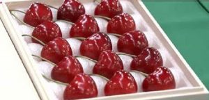Giappone: ciliegie vendute al prezzo record di 230 euro l’una!