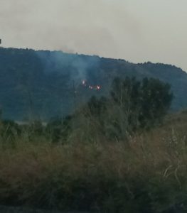 Emergenza incendi, rischio evacuazione per alcune abitazioni a Borgia