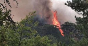 Incendi, Spirlì: «Attivi 59 roghi, situazione ancora grave»