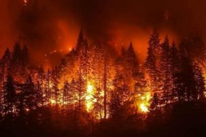 Emergenza incendi, la Regione Calabria chiede lo stato di emergenza