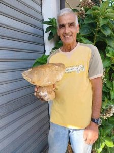 FOTO NEWS | Trovato un fungo di oltre un chilo nei boschi di Olivadi