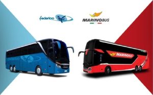 MarinoBus e Autolinee Federico annunciano nuovi collegamenti da e per la Calabria