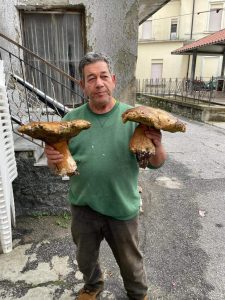 FOTO NEWS | Trovati a San Vito sullo Ionio 2 funghi di oltre un chilo e mezzo!