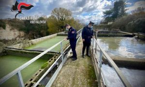 Liquami nel fiume, scoperta una bomba ecologica in Calabria: depuratore sequestrato