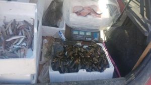 Vendeva pesce in auto senza autorizzazione: sanzione da 5mila euro e 15 kg sequestrati
