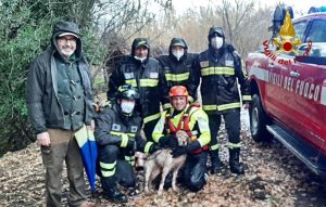 Salvato dai vigili del fuoco un cane bloccato in un torrente