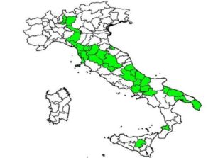 Le 32 province d’Italia in cui è più diffusa la variante Omicron