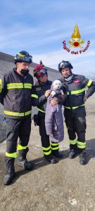 Cane cade tra i blocchi del Porto di Crotone, salvato dai vigili del fuoco