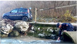 Ambiente – Operazione “Deep” dei carabinieri nelle province di Catanzaro, Cosenza e Vibo
