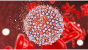 Cosa dovresti sapere sull’adenovirus F41, la probabile causa di epatite acuta nei bambini che preoccupa il mondo