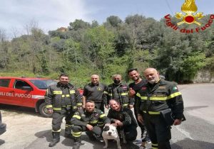 Cane e padrone finiscono in un dirupo, salvati dai vigili del fuoco