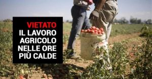 Vietato in Calabria il lavoro agricolo nelle ore più calde
