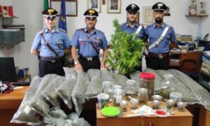 Sorpreso a coltivare marijuana nel giardino di casa, 40enne arrestato