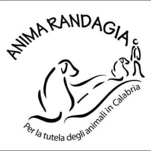“Anima Randagia” è alla ricerca di nuovi volontari