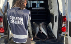 Pesca illegale, due esemplari adulti di tonno rosso sequestrati