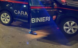 ‘Ndrangheta, maxi blitz contro la cosca Piromalli, 49 arresti e sequestri