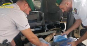 Operazione “Svevia” della Dda di Catanzaro contro il traffico di droga, 46 arresti