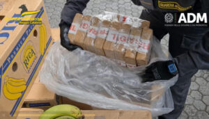 Sequestrate tre tonnellate di cocaina nel porto di Gioia Tauro, erano in due container di frutta