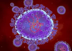 Metapneumovirus, cos’è questo virus poco conosciuto che preoccupa gli scienziati?