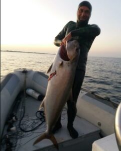 Pescata in Puglia una ricciola di 37 Kg!