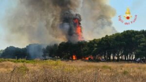 Incendio vegetazione a Isola Capo Rizzuto