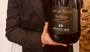 Il Cirò Rosso riserva “Ripe Del Falco” tra i migliori vini d’Italia